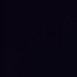 Meet your Posher, Jamison